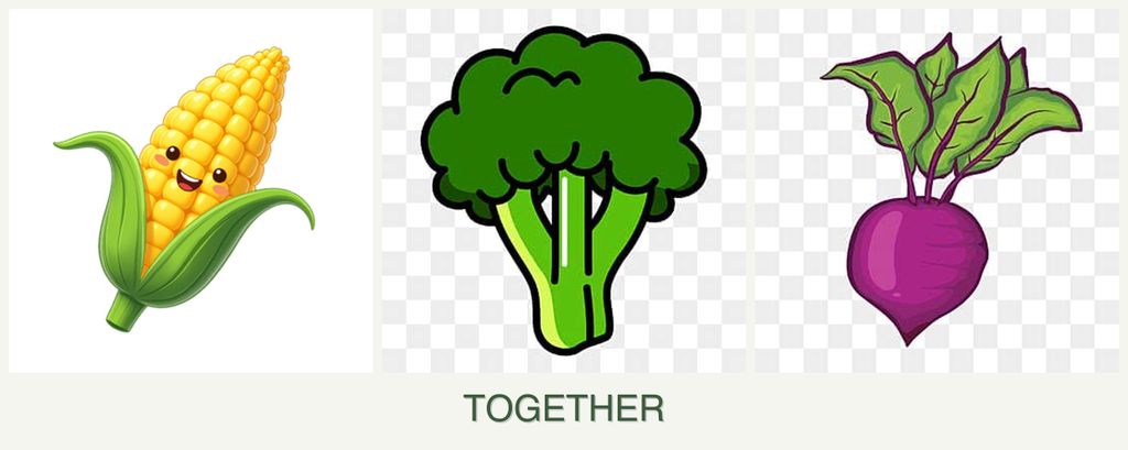 Can you plant corn, broccoli and beets together?