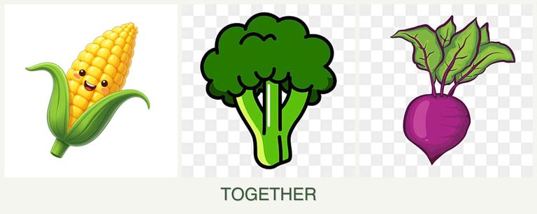 Can you plant corn, broccoli and beets together?