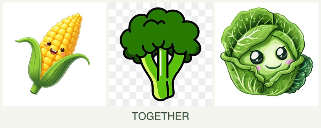 Can you plant corn, broccoli and cabbage together?