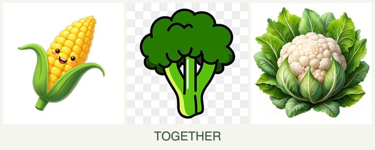 Can you plant corn, broccoli and cauliflower together?