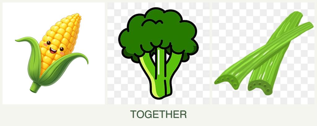 Can you plant corn, broccoli and celery together?