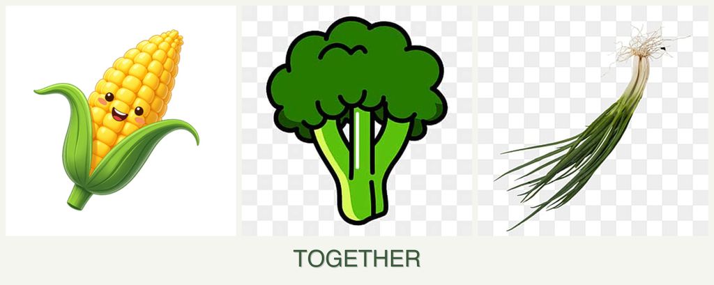 Can you plant corn, broccoli and chives together?