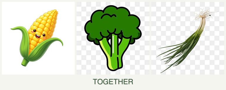 Can you plant corn, broccoli and chives together?