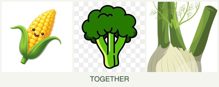 Can you plant corn, broccoli and fennel together?