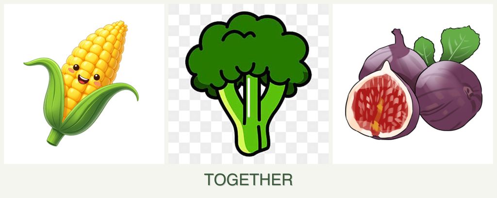 Can you plant corn, broccoli and figs together?