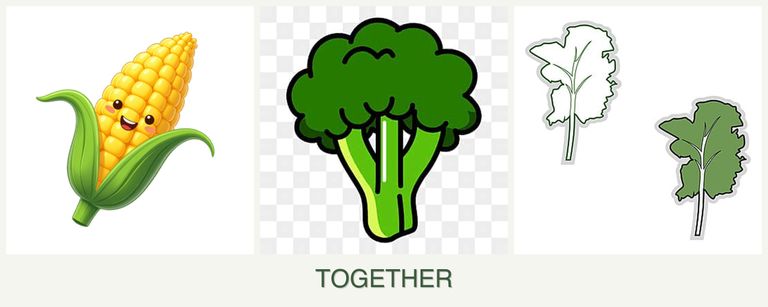 Can you plant corn, broccoli and kale together?