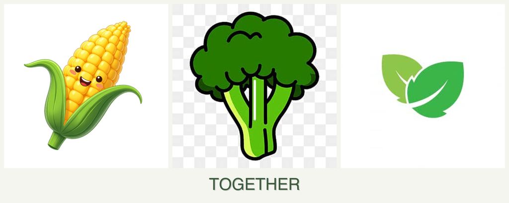 Can you plant corn, broccoli and mint together?