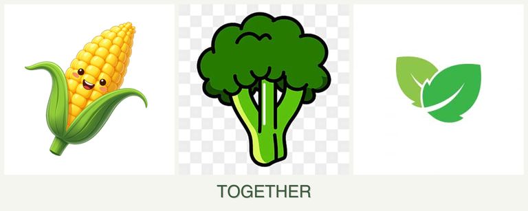 Can you plant corn, broccoli and mint together?