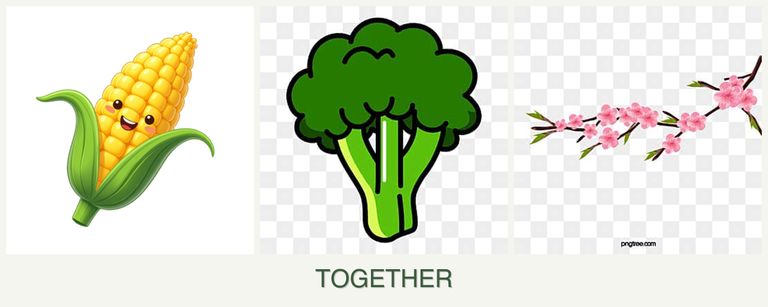 Can you plant corn, broccoli and peaches together?