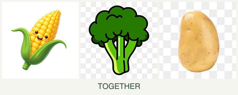 Can you plant corn, broccoli and potatoes together?