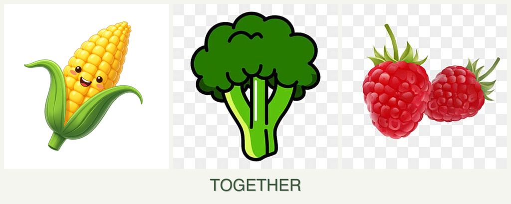 Can you plant corn, broccoli and raspberries together?