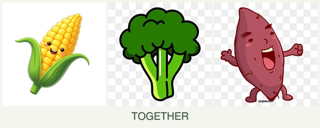 Can you plant corn, broccoli and sweet potatoes together?