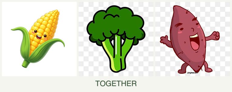 Can you plant corn, broccoli and sweet potatoes together?