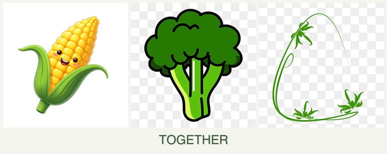 Can you plant corn, broccoli and tarragon together?