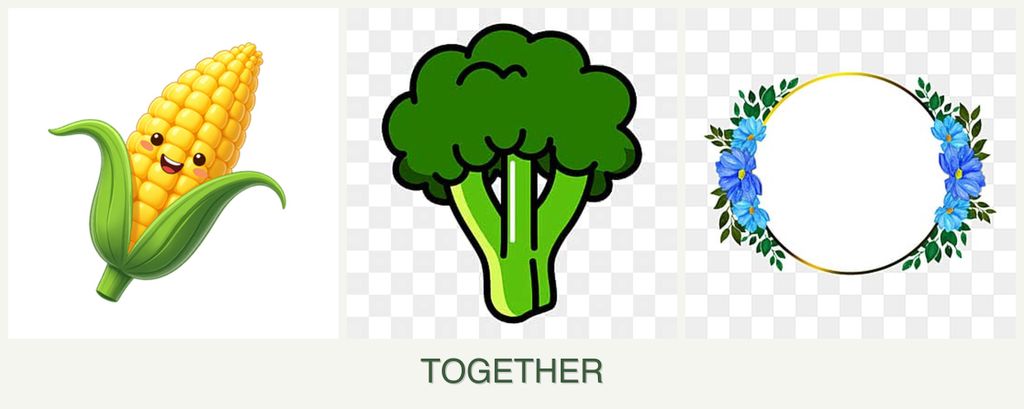 Can you plant corn, broccoli and zinnias together?