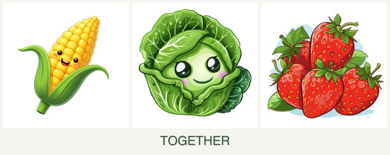Can you plant corn, cabbage and strawberries together?