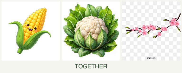 Can you plant corn, cauliflower and peaches together?