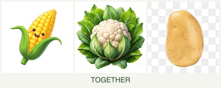 Can you plant corn, cauliflower and potatoes together?