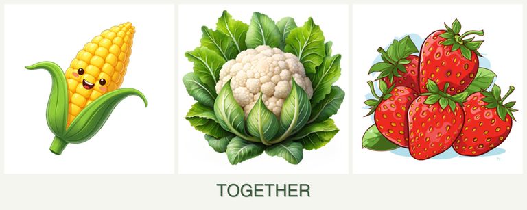 Can you plant corn, cauliflower and strawberries together?