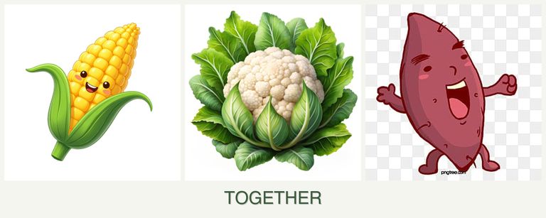 Can you plant corn, cauliflower and sweet potatoes together?