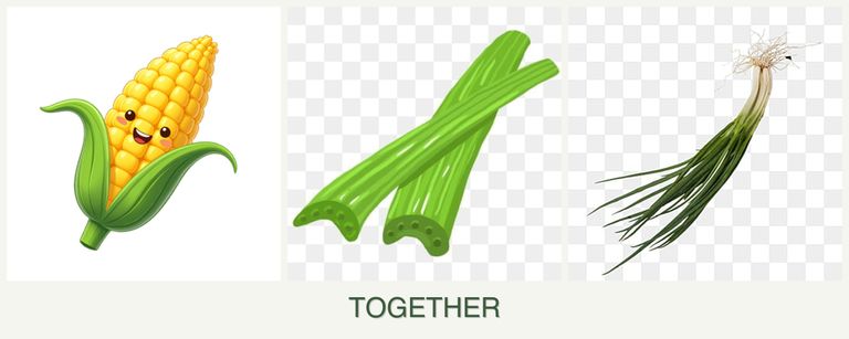 Can you plant corn, celery and chives together?