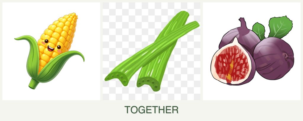 Can you plant corn, celery and figs together?