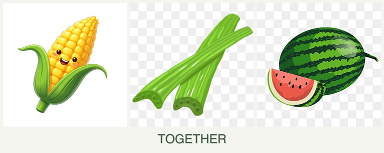 Can you plant corn, celery and melons together?