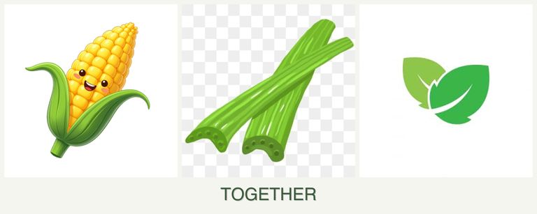 Can you plant corn, celery and mint together?