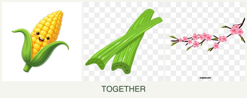 Can you plant corn, celery and peaches together?
