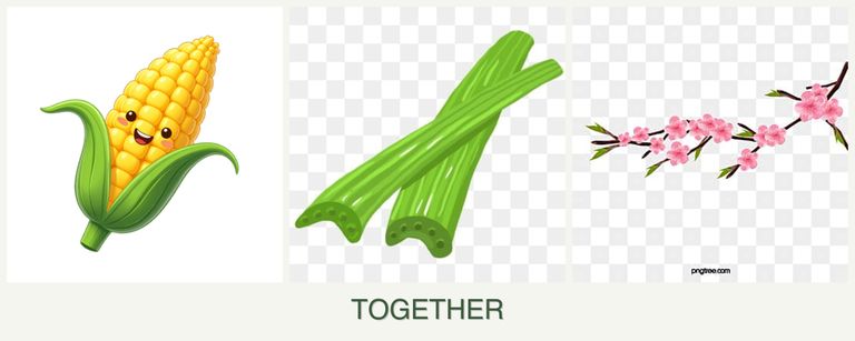 Can you plant corn, celery and peaches together?