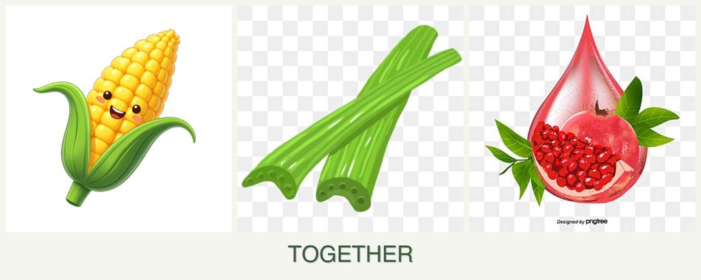 Can you plant corn, celery and pomegranates together?