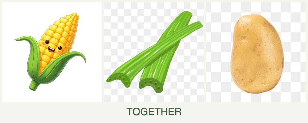 Can you plant corn, celery and potatoes together?