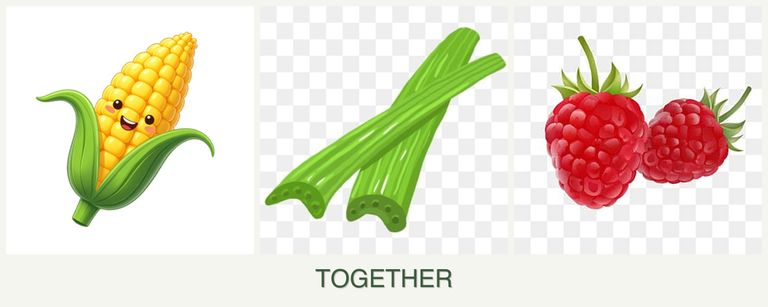 Can you plant corn, celery and raspberries together?