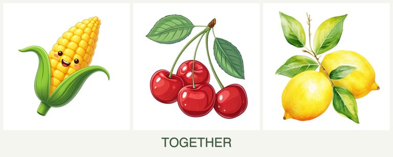 Can you plant corn, cherries and lemons together?