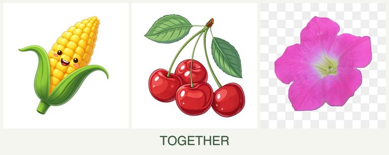 Can you plant corn, cherries and petunias together?