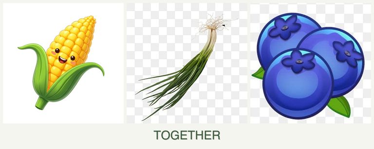 Can you plant corn, chives and blueberries together?
