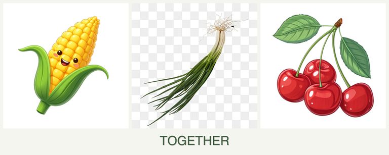 Can you plant corn, chives and cherries together?