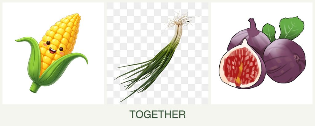Can you plant corn, chives and figs together?
