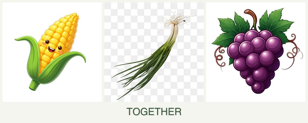 Can you plant corn, chives and grapes together?