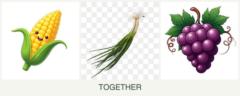 Can you plant corn, chives and grapes together?