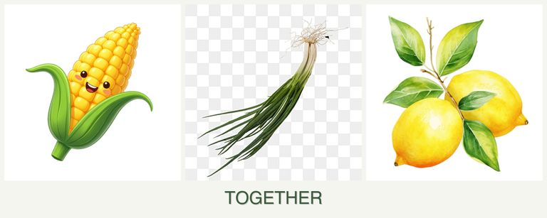 Can you plant corn, chives and lemons together?