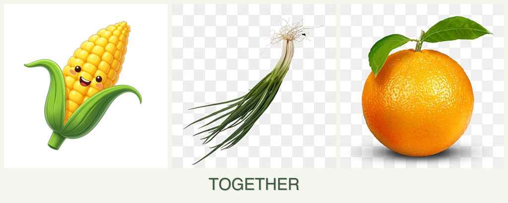 Can you plant corn, chives and oranges together?