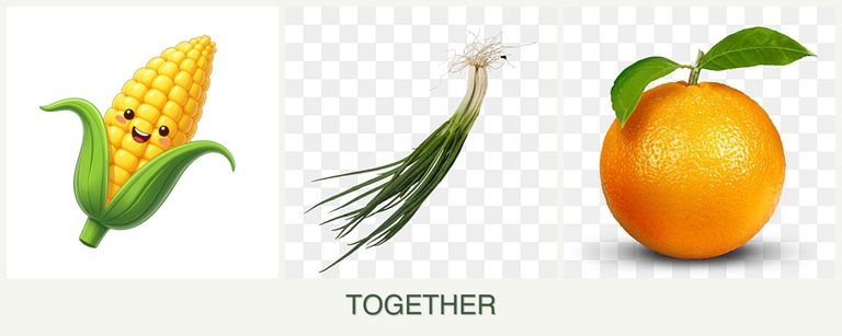 Can you plant corn, chives and oranges together?