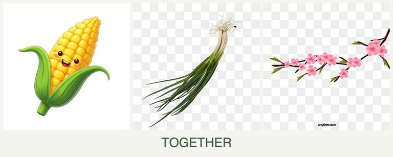 Can you plant corn, chives and peaches together?