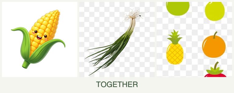 Can you plant corn, chives and pears together?