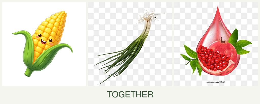 Can you plant corn, chives and pomegranates together?