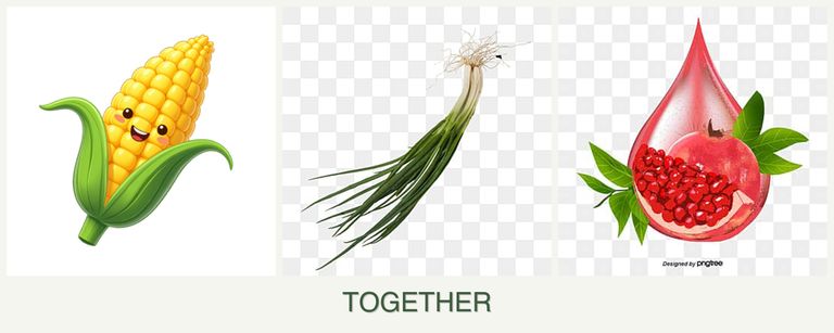 Can you plant corn, chives and pomegranates together?