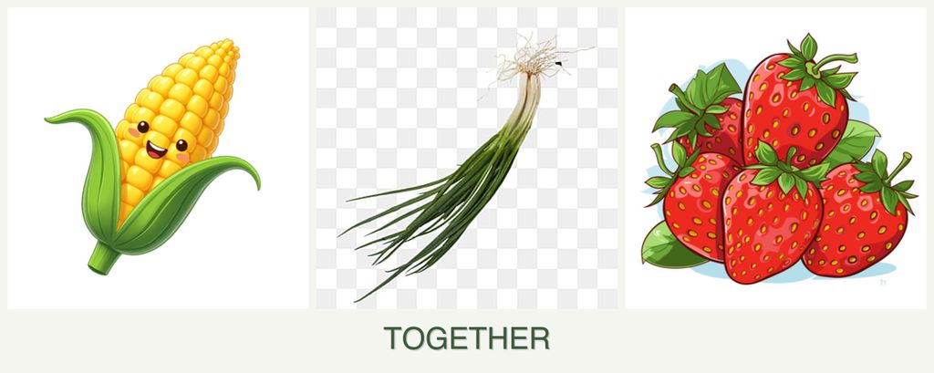 Can you plant corn, chives and strawberries together?