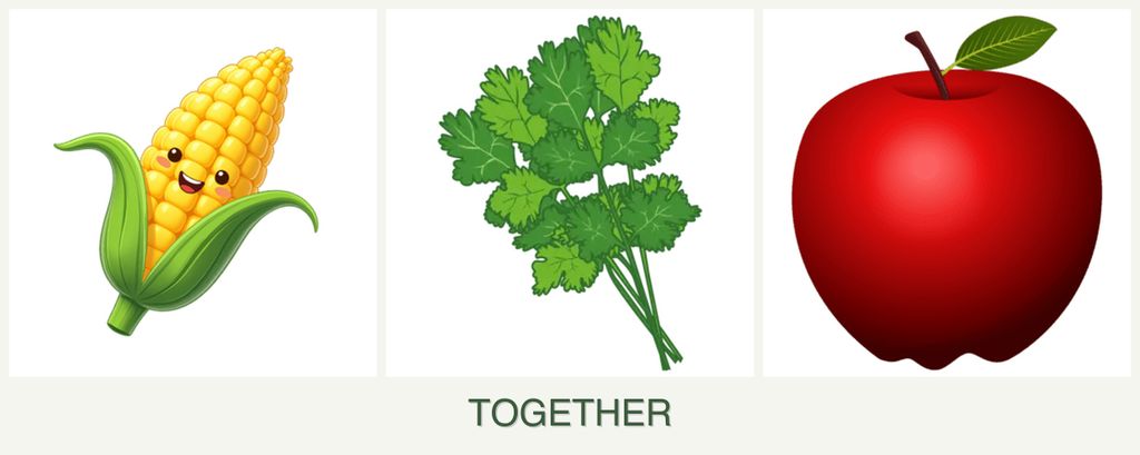 Can you plant corn, cilantro and apples together?