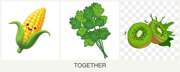 Can you plant corn, cilantro and kiwi together?
